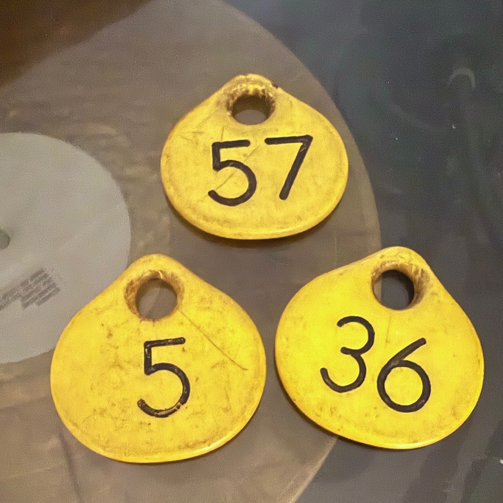 Dairy Cow Ear Tags (Decor-Crafts)